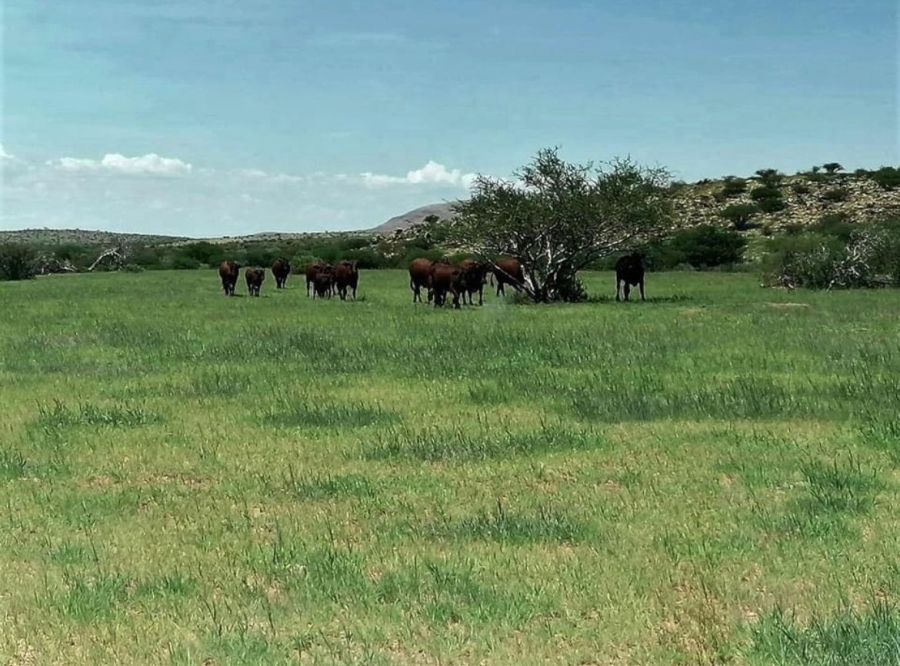 0 Bedroom Property for Sale in Upington Rural Northern Cape